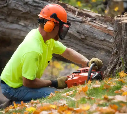 tree services Hilltop